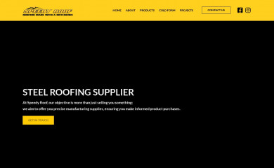 speedyroof.co.za screenshot