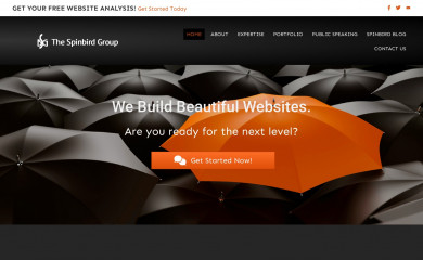 http://www.spinbirdgroup.com/ screenshot