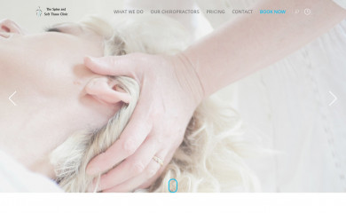 spinesofttissueclinic.com.au screenshot