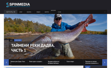 spinmedia.ru screenshot