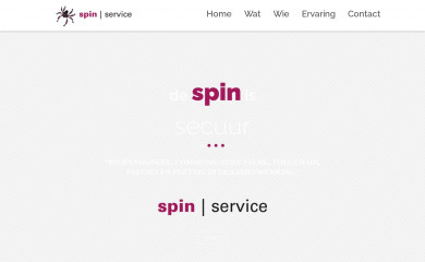 spinservice.nl screenshot