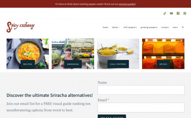 spicyexchange.com screenshot