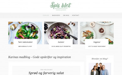 spisblot.dk screenshot