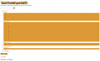 sportiveshyundai.fr screenshot