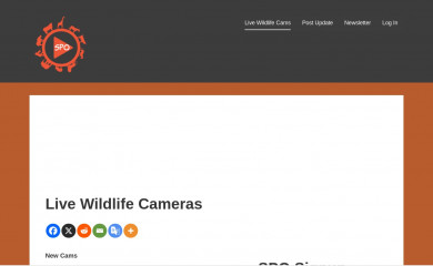 sportsmansparadiseonline.com screenshot