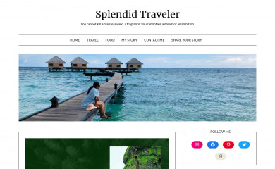 splendidtraveler.co.in screenshot