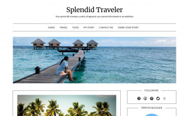 splendidtraveler.co.in screenshot