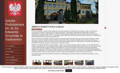 spsadowne.pl screenshot