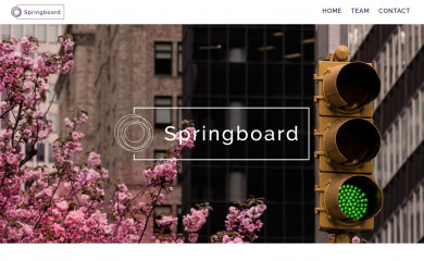 springboardsg.com screenshot
