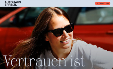 sprinzl.at screenshot