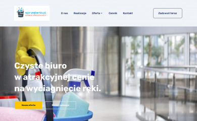sprzatanio.pl screenshot