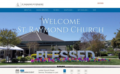 srcdublin.org screenshot