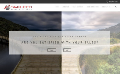 ssaless.com screenshot