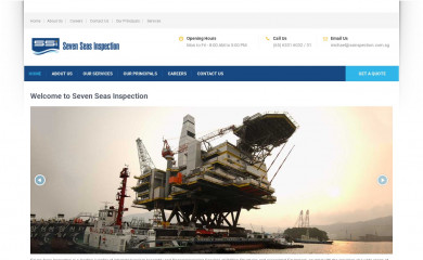 ssinspection.com.sg screenshot