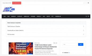 ssk.biz.tr screenshot