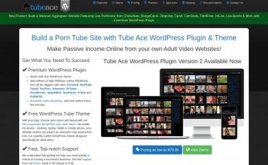 http://www.tubeace.com/ screenshot
