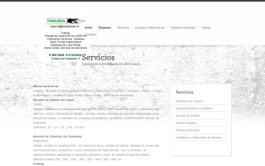 tuneleratopo.cl screenshot