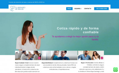 tusegurodesalud.cl screenshot