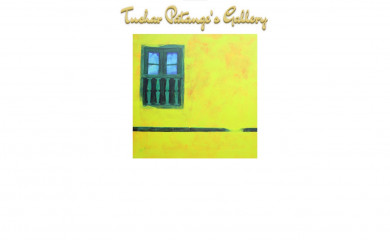 tusharpatange.com screenshot