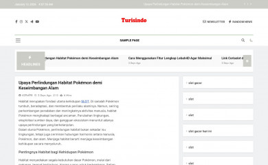 turisindo.com screenshot