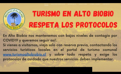 turismoaltobiobio.cl screenshot