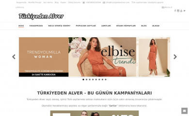 turkiyedenalver.com screenshot