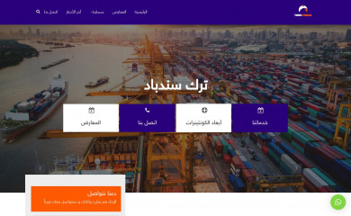 turksinbad.com screenshot