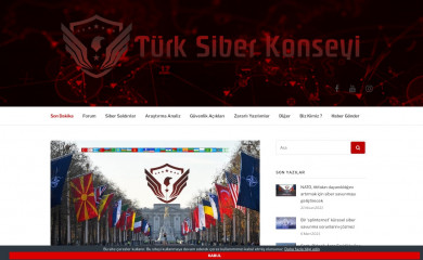turksiberkonseyi.org screenshot