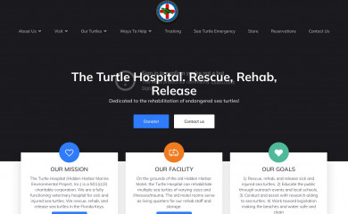 turtlehospital.org screenshot
