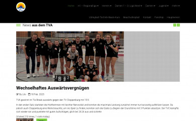 tva-volleyball.de screenshot