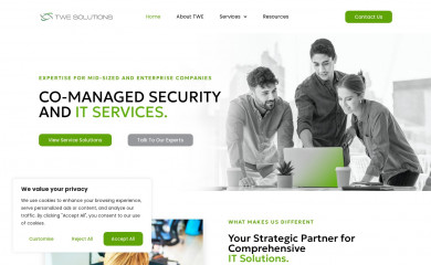 twe-solutions.com screenshot
