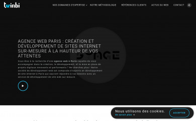 https://www.twinbi.com screenshot