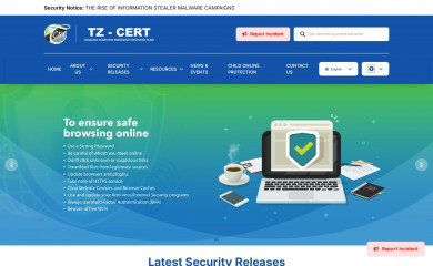 tzcert.go.tz screenshot