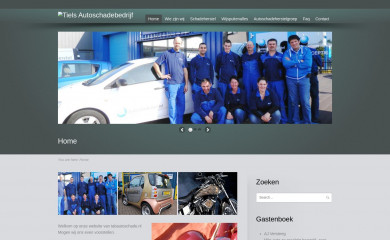 tabautoschade.nl screenshot