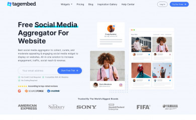 tagembed.com screenshot