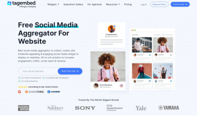 tagembed.com screenshot