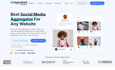 tagembed.com screenshot