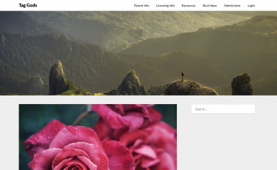 taggods.com screenshot