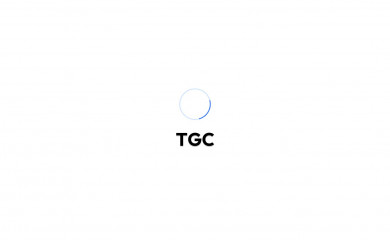 taditagroup.com screenshot