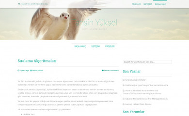 tahsinyuksel.com screenshot