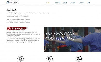 taichiforlife.com screenshot