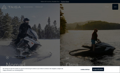 taigamotors.com screenshot
