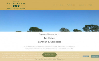 taihirioncamping.com screenshot