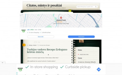 taiklimintis.lt screenshot
