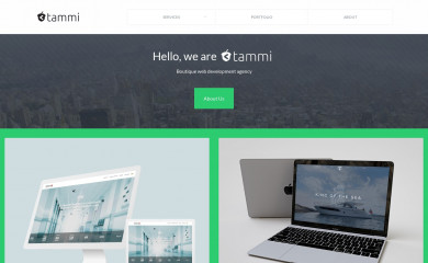 tammi.lt screenshot