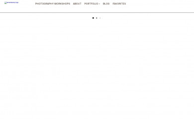 tamaralackey.com screenshot