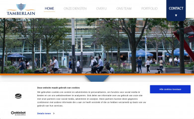 tamberlain.com screenshot