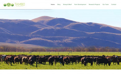 tambo.co.nz screenshot