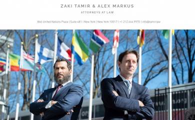 tamirlawgroup.com screenshot