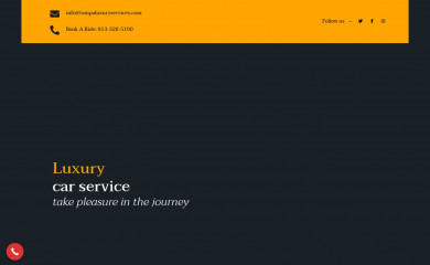 tampaluxuryservice.com screenshot